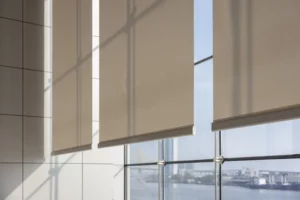 Window Shades Services in Lake City, FL