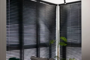 Window Blinds Services in Lake City, FL